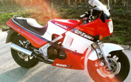 WhatsApp Image 2025-11-17 at 18.49.49 (1)